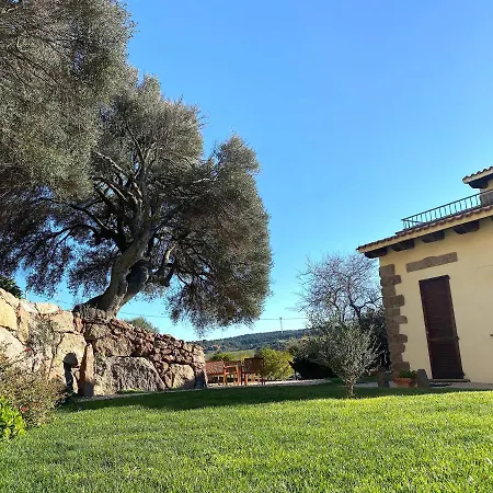Artemisia Sardegna Tergu