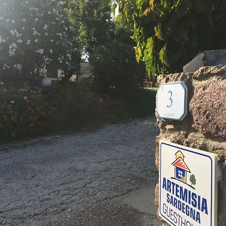 Artemisia Sardegna