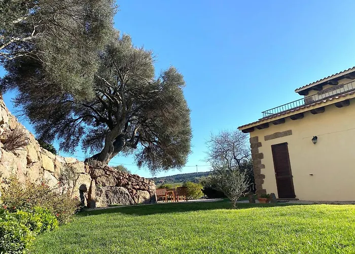 Artemisia Sardegna Tergu