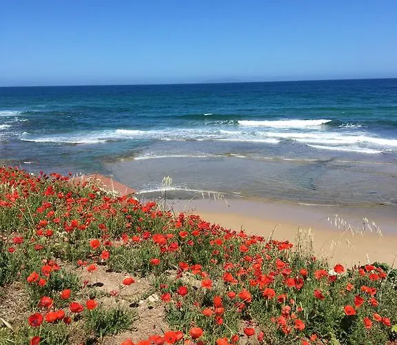 Pensjonat Artemisia Sardegna Tergu